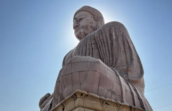 全日私人導賞菩提迦耶之旅（含接送服務）