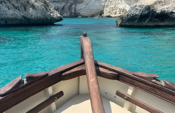 卡利亞里遊船之旅：5個游泳站點、開胃酒及撒丁島午餐