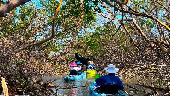 Elite Hobie Kayak Experience: Ultimate Premium Eco Adventure!