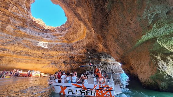 Grotte dell'Algarve e tour in barca per l'osservazione dei delfini da Albufeira