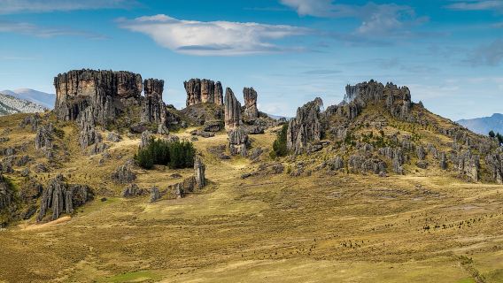 Cajamarca: Cumbemayo - el Bosque de Piedras