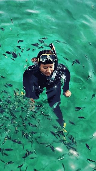 Bintan Snorkeling Day Tour with Lunch and Hotel Transfer