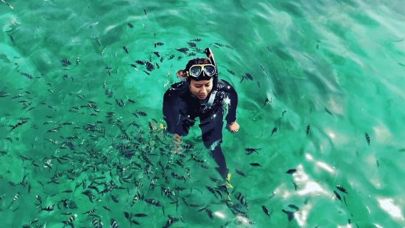 Bintan Schnorcheln Tagesausflug mit Mittagessen und Hoteltransfer