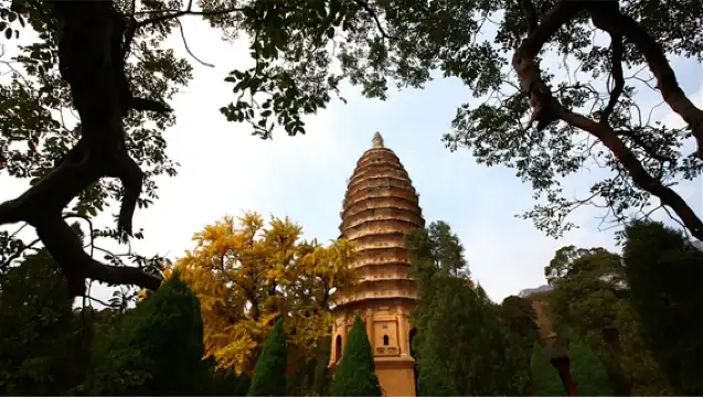 ทัวร์พร้อมไกด์ส่วนตัว 1 วันจากเจิ้งโจวซานหวงจ่ายวัดเส้าหลิน วัดเส้าหลิน การแสดงศิลปะการต่อสู้เส้าหลิน