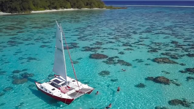 Excursión de medio día: Snorkel y navegación en Moorea en un catamarán llamado Taboo