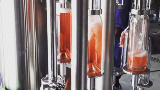 Vineyard, tour, tasting and fun in San Miguel de Allende 