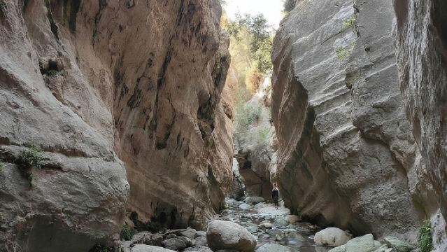 Excursión de un día completo en Akamas, las cascadas de Adonis y la Laguna Azul