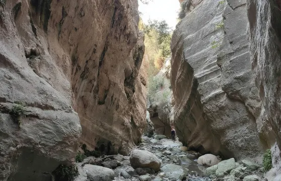 阿卡馬斯阿多尼斯瀑布與藍潟湖全日遊