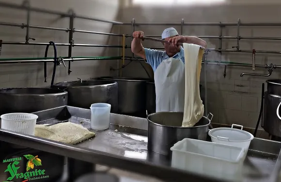 莫薩里拉芝士體驗之旅 - 前往Masseria Fragnite的芝士導覽及品嚐