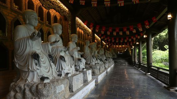 Ninh Binh Day Trip | Private Car Tour with Guide in Vietnam | Recommended Itinerary: Bach Dinh - Trang An - Hang Mot