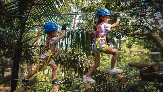 Yeodene: Junior Tree Ropes Course