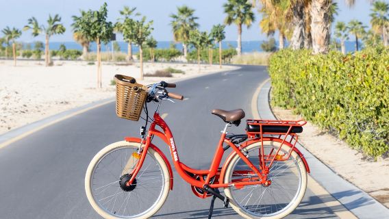Dubai: avventura in bicicletta per famiglie