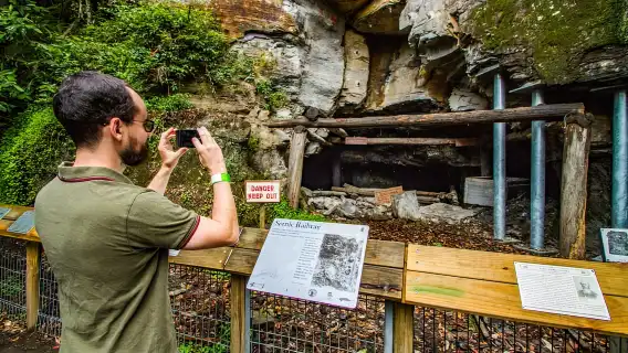 從雪梨出發:藍山、風景世界、動物園和渡輪