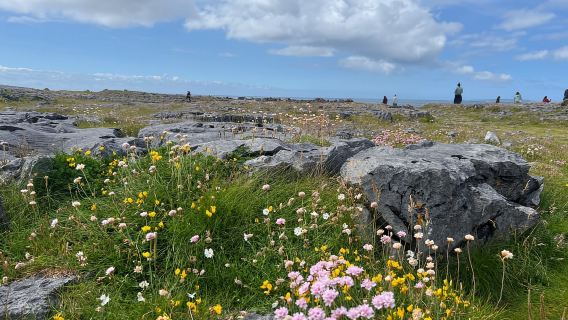 Dublin: Chuyến đi trong ngày đến Vách đá Moher, Doolin, Burren và Galway