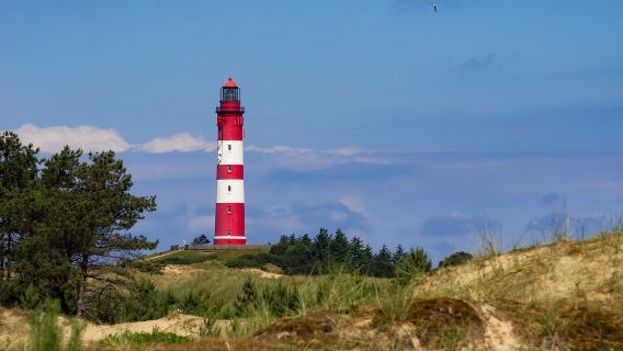 Sylt: Boat tour to island of Amrum
