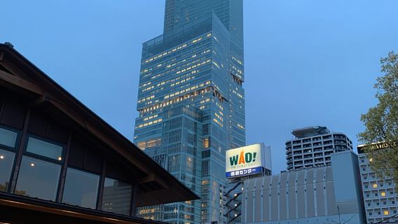 Osaka: tour guidato a piedi con un esperto locale - Le principali attrazioni