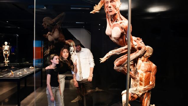 Body Worlds Amsterdam: The Happiness Project Ticket
