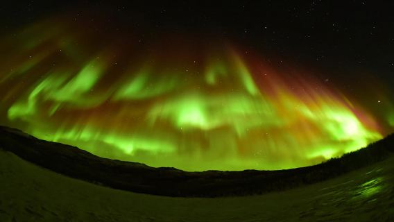 Abisko: inseguimento dell'aurora boreale con le motoslitte