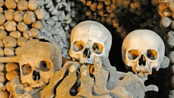 От костей к богам: пешая экскурсия от Капуцинских катакомб до Пантеона