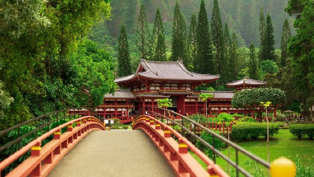 Majestic Circle Island Tour with Lunch