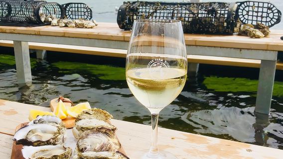 Coffin Bay Oyster Farm Wading Tour & Tasting Experience