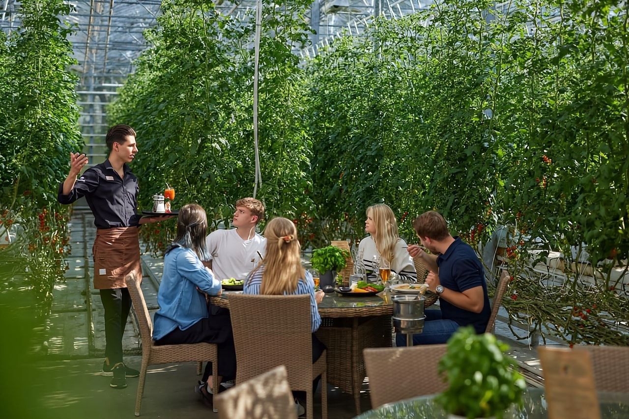 Reykjavík: Golden Circle, Laugaras Lagoon & Fridheimar