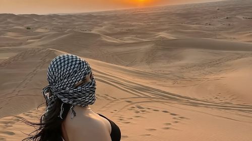 Desert safari With BBQ Dinner Day Tours 7