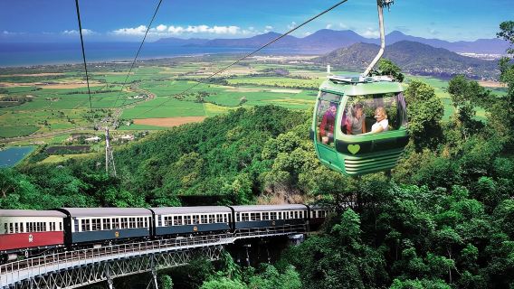 凱恩斯庫蘭達雨林小鎮+熱帶雨林自然公園一日遊【火車/纜車】