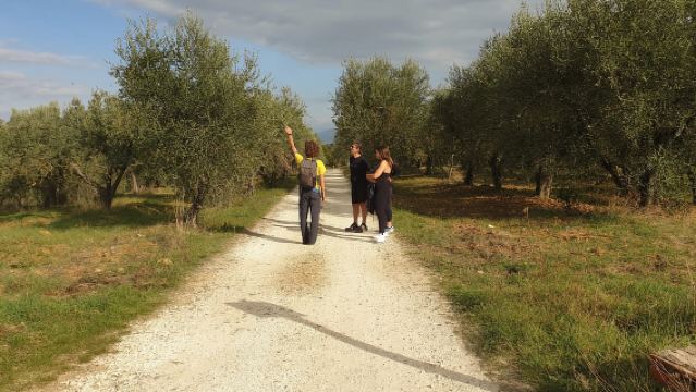 Florence: Tuscany Hills Bike Tour with Lunch & Wine Tasting