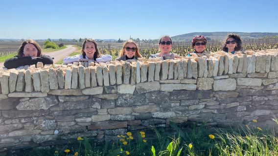 Dijon/Beaune: Full day Ebike Burgundy tour, tastings & lunch