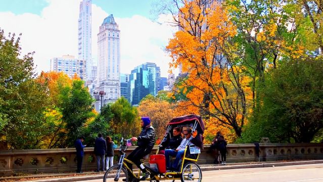 New York City: Pedicab Tour Through Central Park