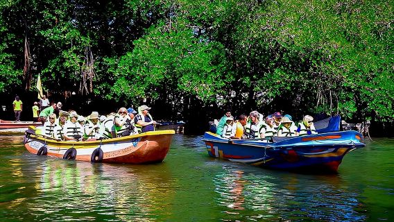 Madu River Boat Safari Balapitiya