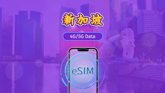新加坡SIM卡