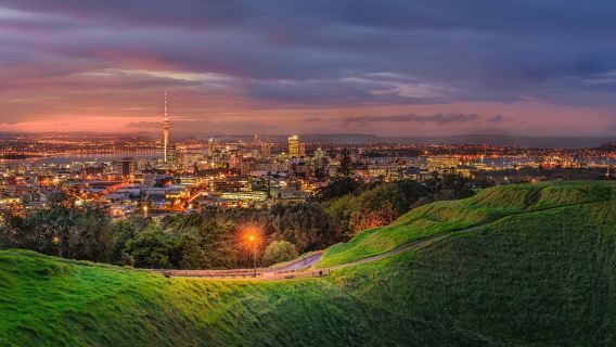 奧克蘭伊甸山+教會灣+哈比一日遊【獨立包車小團/普通話司導】