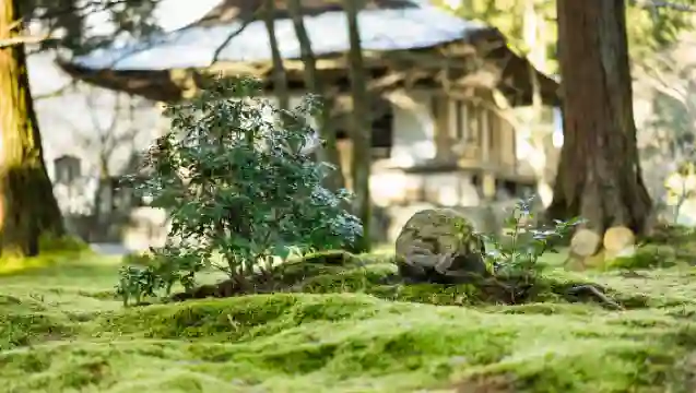 嵐山+渡月橋+天龍寺+野宮神社一日遊【普通話司機包車團】