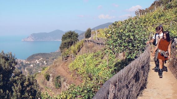 Cinque Terre: Semi-Private Day Trip from Florence