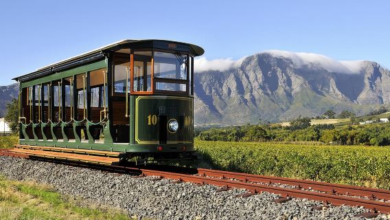 Cape TownTours