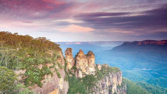 Excursión al atardecer a las Montañas Azules con avistamiento de canguros desde Sídney