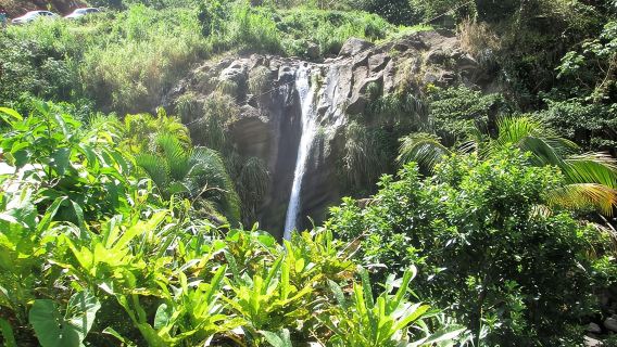 Tour di mezza giornata tra i punti salienti di Grenada Sunshine