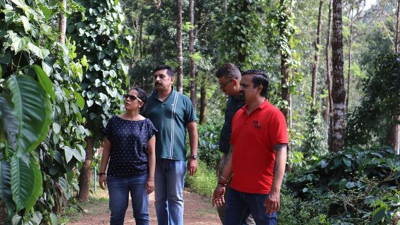 Mercara Gold Coorg Coffee and Spice Estate Tour