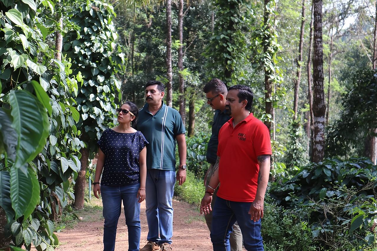 Mercara Gold Coorg Coffee and Spice Estate Tour