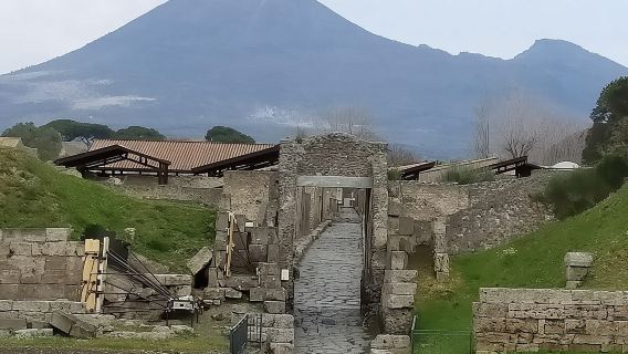 Private Archaeologist service to explore Pompeii's secrets any time ticket incl.