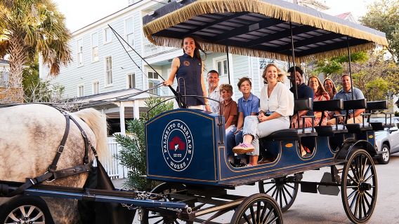 Charleston Horse-Drawn Carriage Tour: Explore Historic Charleston