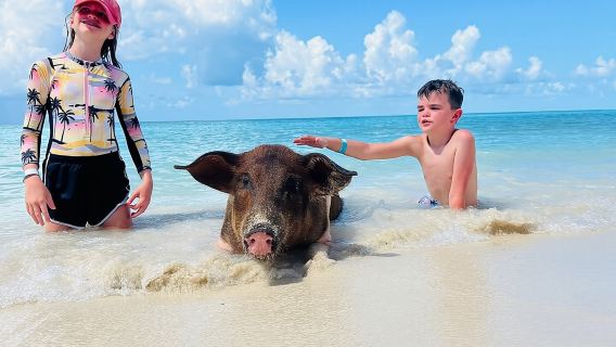 วันสมบูรณ์แบบสำหรับการว่ายน้ำกับหมู เต่า ดำน้ำดูปะการัง และรับประทานอาหารกลางวัน