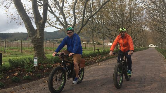 E-Bike Wine Tour Stellenbosch (Half Day)