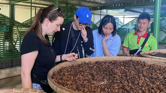 Package tour Nha Trang to Dalat