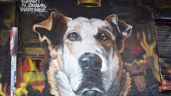 Private guided walking tour of Athens' street art and culture