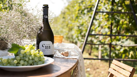 Wine Tasting Tour in Prosecco Hills in Veneto