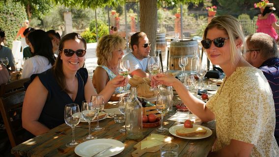 E-Bike-Tour, Weingut, Weinprobe & Segelerlebnis (Auto-Option)