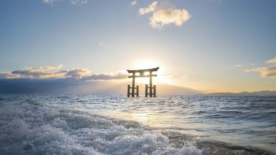 Shiga Miho Museum, Lake Biwa, and Water Torii Gate Day Tour